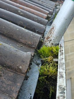 Gutter cleaning services in Bath