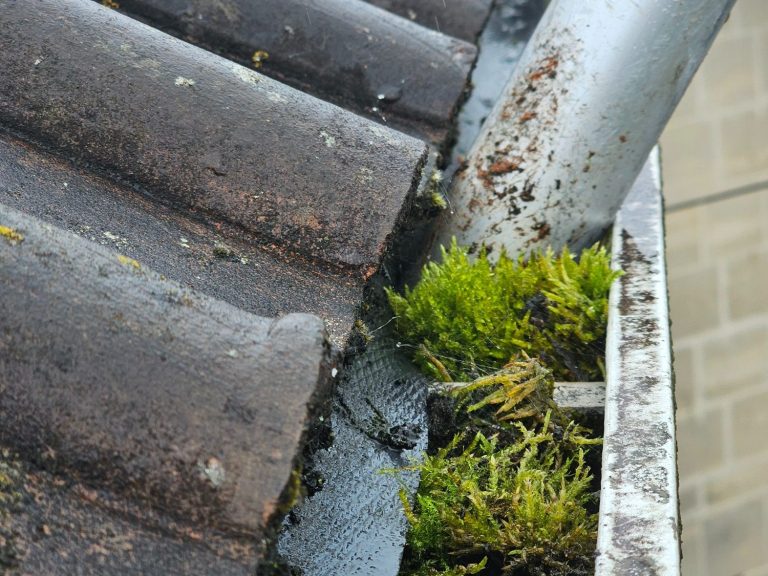 Gutter cleaning services in Bath