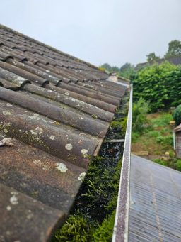 Gutter cleaning services in Bath